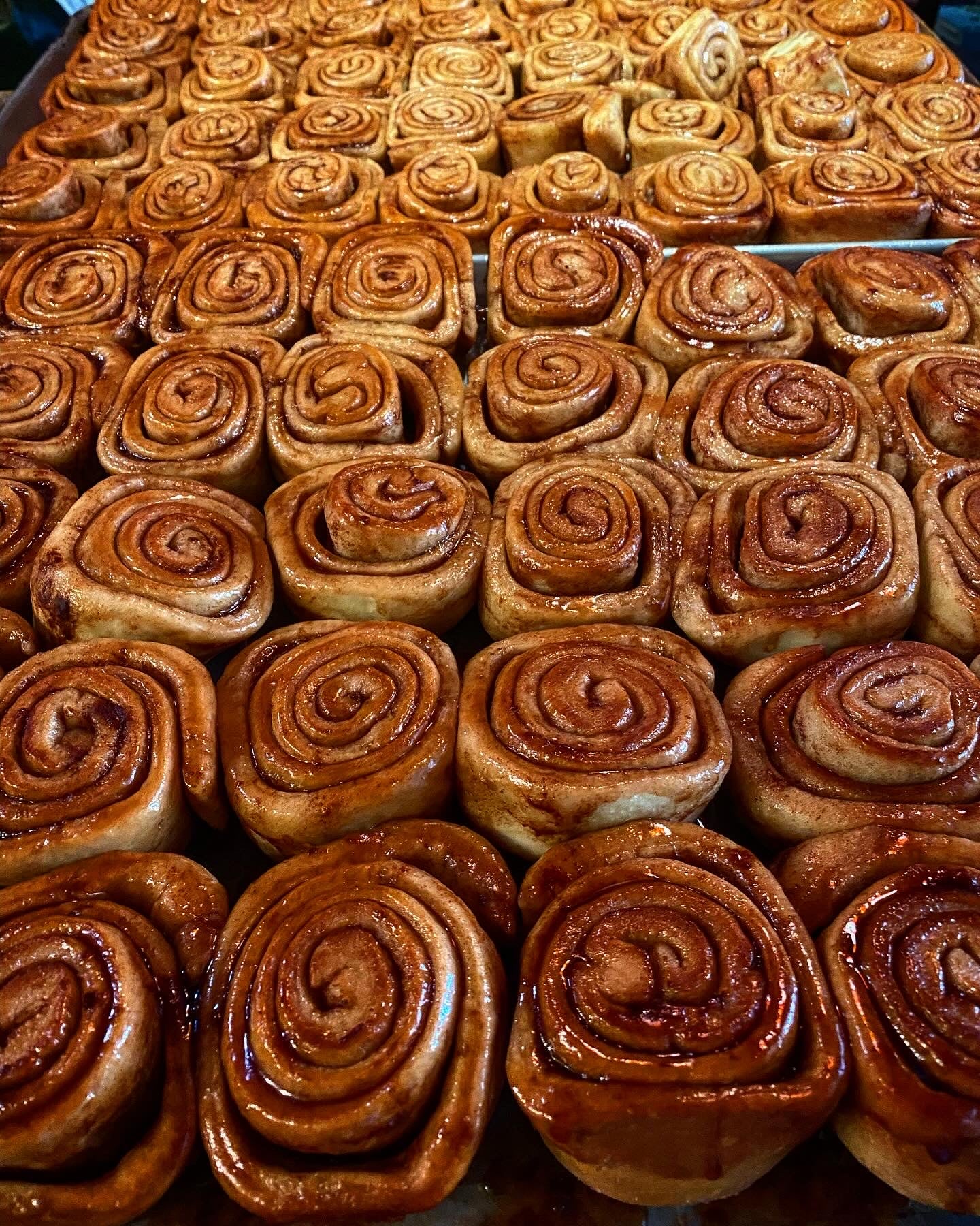 Vera's Famous Market Cinnamon Buns Pack of 6